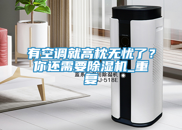 有空調就高枕無憂了？你還需要除濕機_重復
