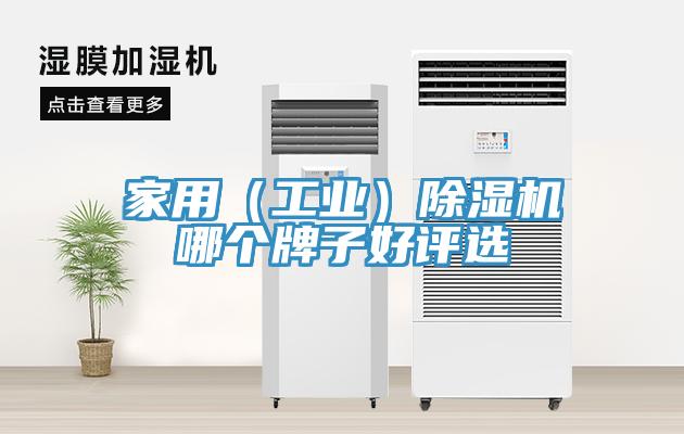 家用（工業(yè)）除濕機(jī)哪個(gè)牌子好評選