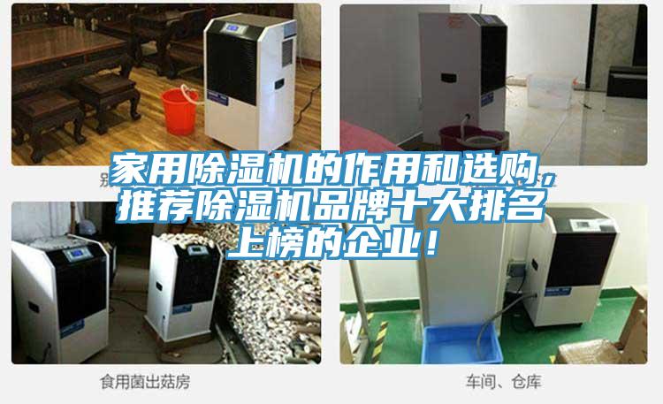 家用除濕機(jī)的作用和選購，推薦除濕機(jī)品牌十大排名上榜的企業(yè)！
