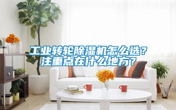 工業(yè)轉(zhuǎn)輪除濕機怎么選？注重點在什么地方？