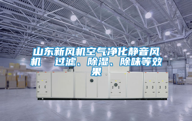山東新風(fēng)機空氣凈化靜音風(fēng)機  過濾、除濕、除味等效果