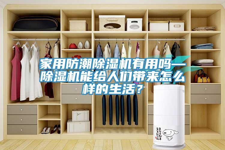 家用防潮除濕機有用嗎—除濕機能給人們帶來怎么樣的生活？