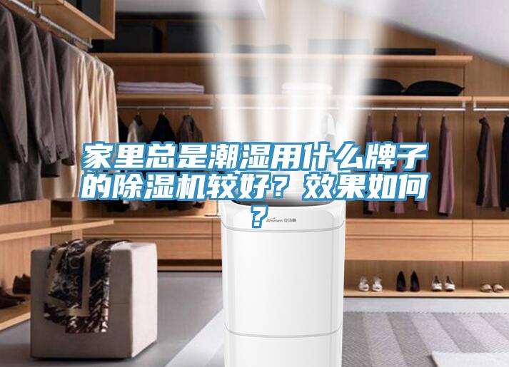 家里總是潮濕用什么牌子的除濕機較好？效果如何？