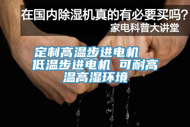 定制高溫步進(jìn)電機  低溫步進(jìn)電機 可耐高溫高濕環(huán)境