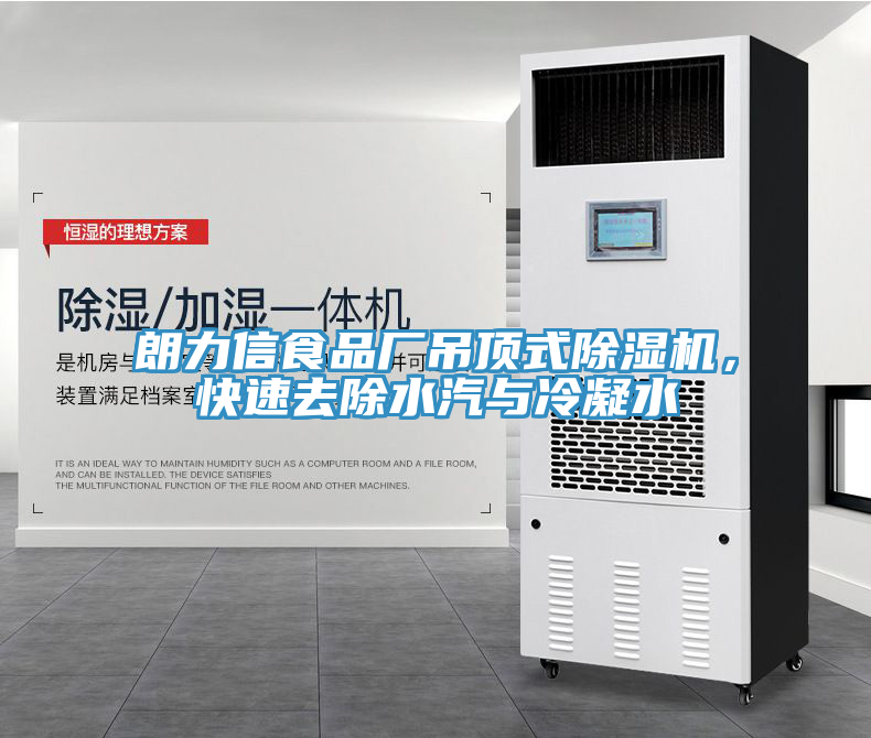 朗力信食品廠吊頂式除濕機，快速去除水汽與冷凝水