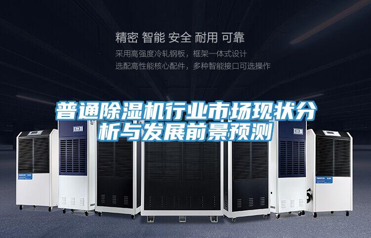 普通除濕機行業(yè)市場現狀分析與發(fā)展前景預測