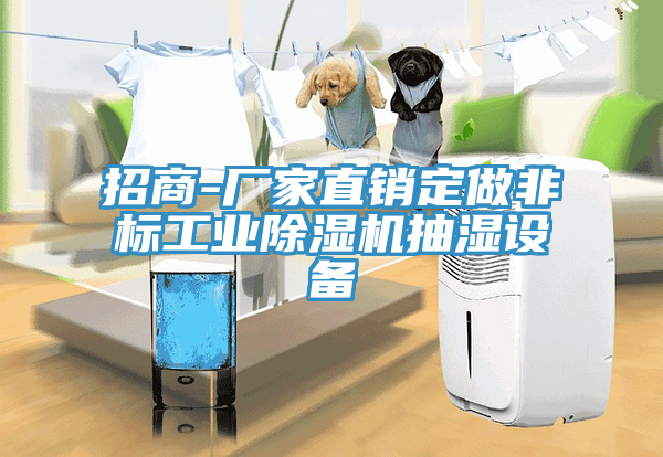 招商-廠家直銷定做非標(biāo)工業(yè)除濕機抽濕設(shè)備