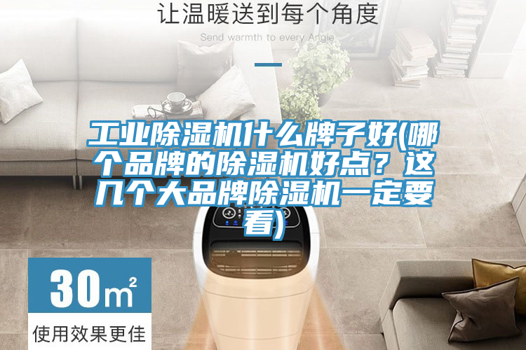 工業(yè)除濕機(jī)什么牌子好(哪個(gè)品牌的除濕機(jī)好點(diǎn)？這幾個(gè)大品牌除濕機(jī)一定要看)
