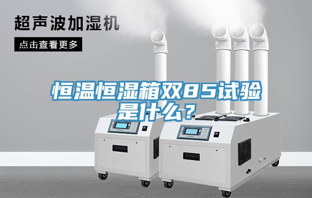 恒溫恒濕箱雙85試驗(yàn)是什么？