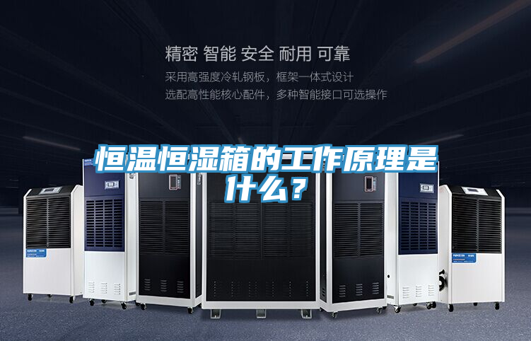 恒溫恒濕箱的工作原理是什么？