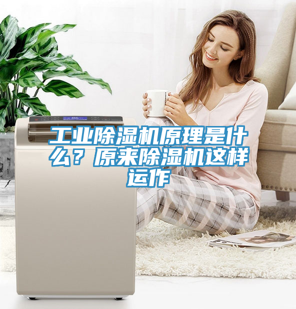 工業(yè)除濕機(jī)原理是什么？原來(lái)除濕機(jī)這樣運(yùn)作
