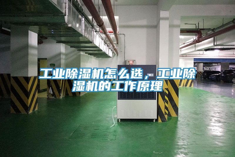 工業(yè)除濕機(jī)怎么選，工業(yè)除濕機(jī)的工作原理