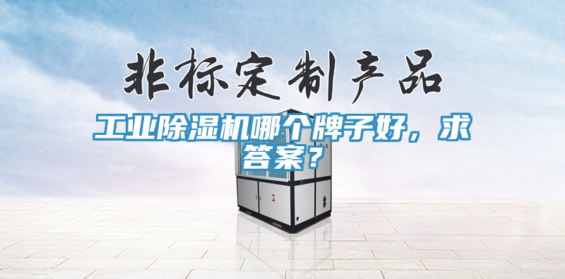 工業(yè)除濕機(jī)哪個牌子好，求答案？