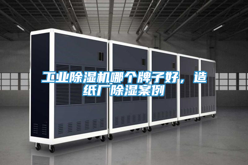 工業(yè)除濕機(jī)哪個牌子好，造紙廠除濕案例