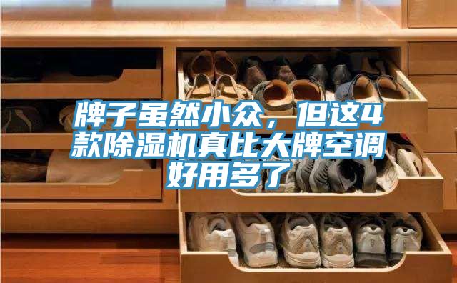 牌子雖然小眾，但這4款除濕機(jī)真比大牌空調(diào)好用多了