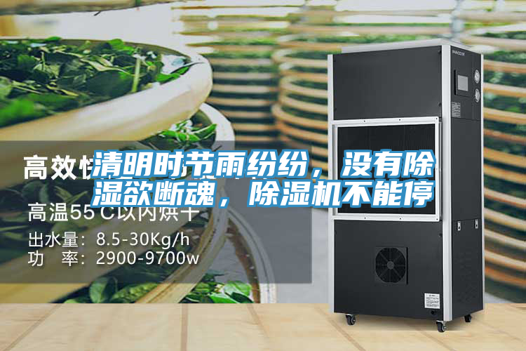 清明時(shí)節(jié)雨紛紛，沒有除濕欲斷魂，除濕機(jī)不能停