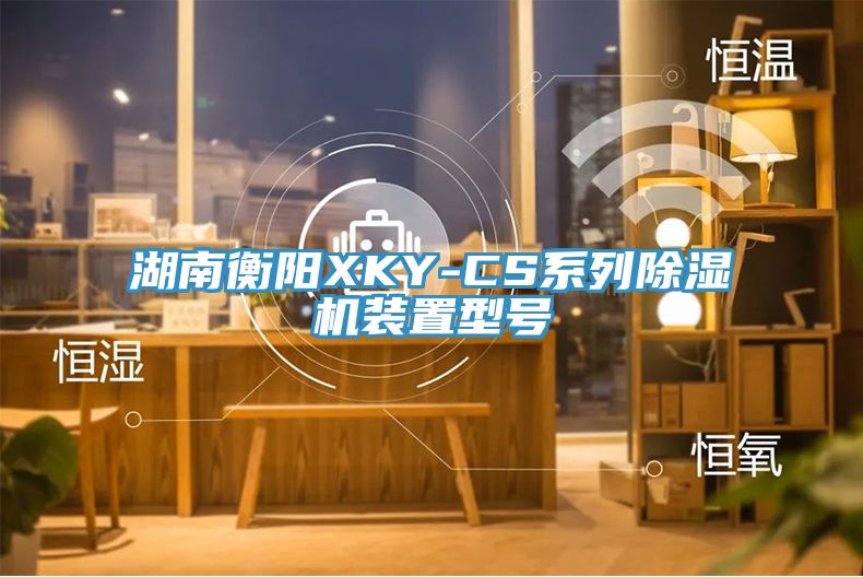 湖南衡陽XKY-CS系列除濕機(jī)裝置型號(hào)