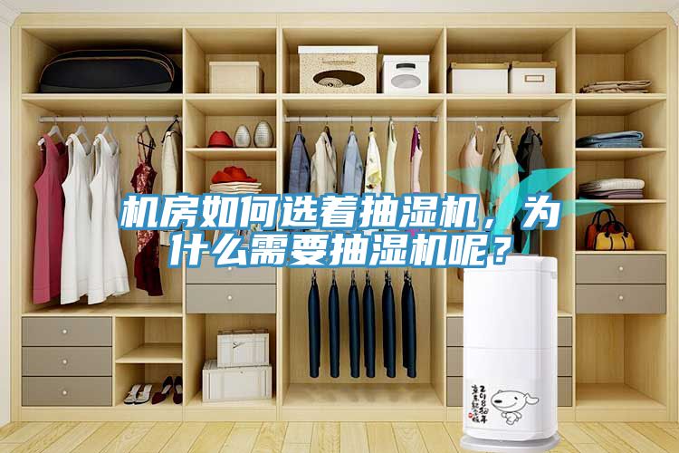 機(jī)房如何選著抽濕機(jī)，為什么需要抽濕機(jī)呢？