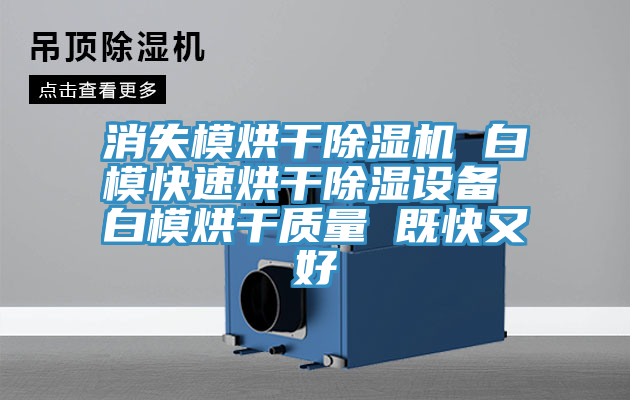 消失模烘干除濕機(jī) 白?？焖俸娓沙凉裨O(shè)備 白模烘干質(zhì)量 既快又好