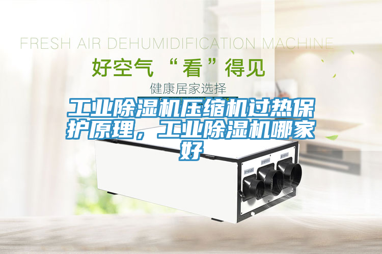 工業(yè)除濕機(jī)壓縮機(jī)過熱保護(hù)原理，工業(yè)除濕機(jī)哪家好