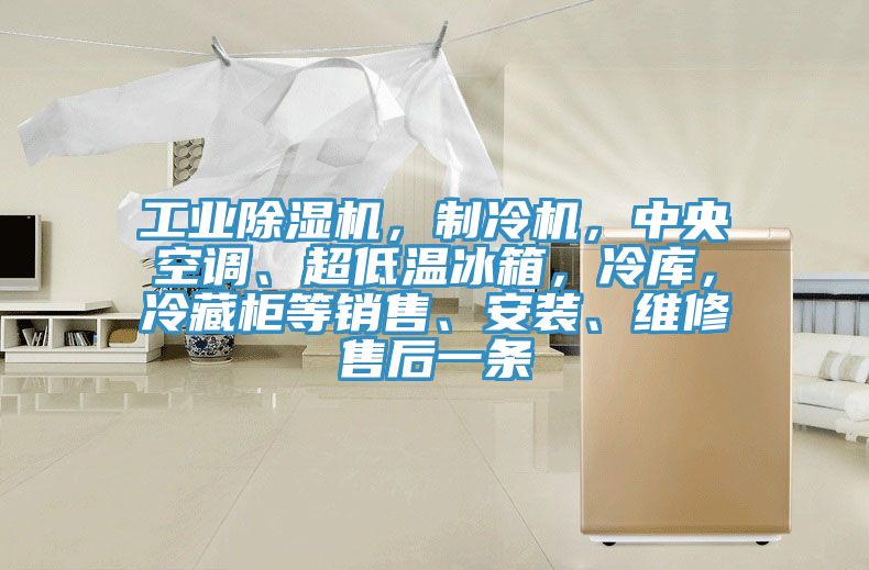 工業(yè)除濕機(jī)，制冷機(jī)，中央空調(diào)、超低溫冰箱，冷庫(kù)，冷藏柜等銷(xiāo)售、安裝、維修售后一條