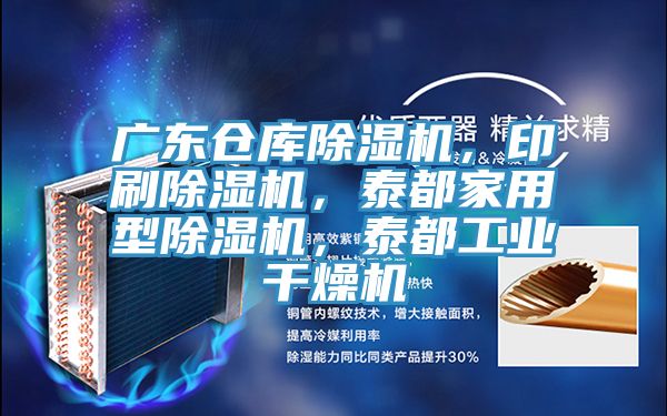 廣東倉庫除濕機，印刷除濕機，泰都家用型除濕機，泰都工業(yè)干燥機