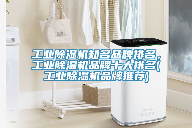 工業(yè)除濕機知名品牌排名，工業(yè)除濕機品牌十大排名(工業(yè)除濕機品牌推薦)