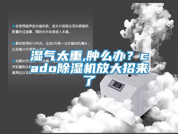 濕氣太重,腫么辦？cado除濕機(jī)放大招來了