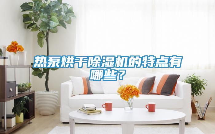 熱泵烘干除濕機(jī)的特點有哪些？