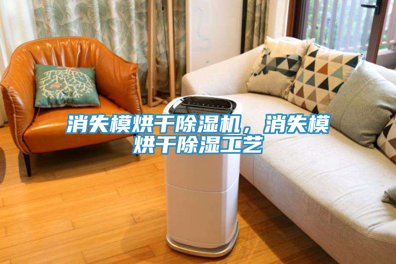 消失模烘干除濕機(jī)，消失模烘干除濕工藝