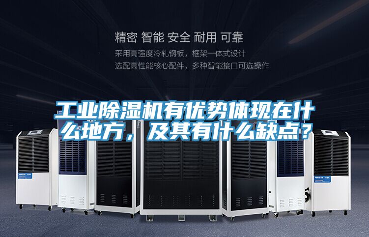 工業(yè)除濕機(jī)有優(yōu)勢體現(xiàn)在什么地方，及其有什么缺點？
