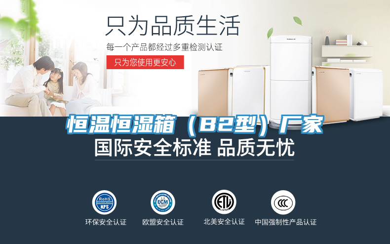 恒溫恒濕箱（B2型）廠(chǎng)家