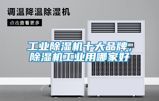 工業(yè)除濕機(jī)十大品牌，除濕機(jī)工業(yè)用哪家好