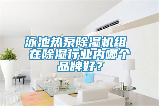 泳池?zé)岜贸凉駲C(jī)組 在除濕行業(yè)內(nèi)哪個(gè)品牌好？