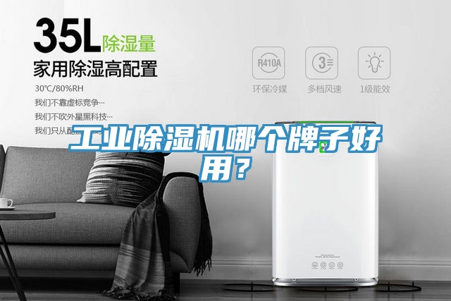 工業(yè)除濕機(jī)哪個牌子好用？