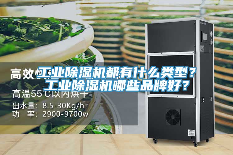 工業(yè)除濕機(jī)都有什么類型？工業(yè)除濕機(jī)哪些品牌好？