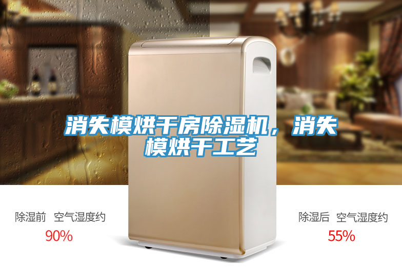 消失模烘干房除濕機(jī)，消失模烘干工藝