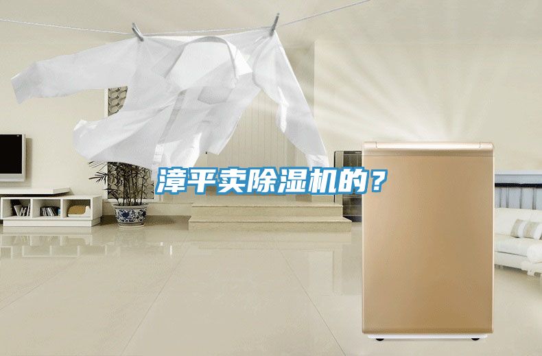 漳平賣除濕機(jī)的？