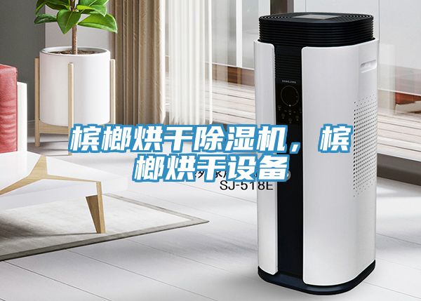 檳榔烘干除濕機(jī)，檳榔烘干設(shè)備