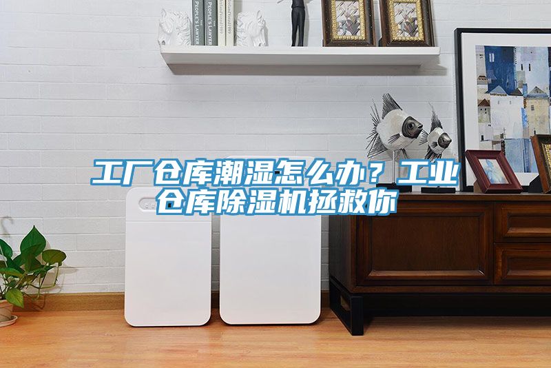 工廠倉庫潮濕怎么辦？工業(yè)倉庫除濕機(jī)拯救你