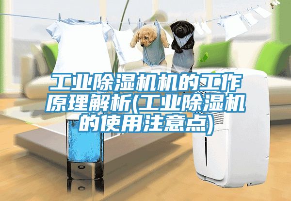 工業(yè)除濕機(jī)機(jī)的工作原理解析(工業(yè)除濕機(jī)的使用注意點)