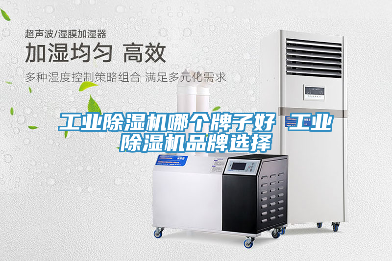 工業(yè)除濕機(jī)哪個牌子好 工業(yè)除濕機(jī)品牌選擇