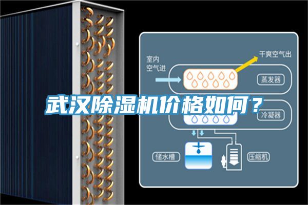 武漢除濕機(jī)價格如何？