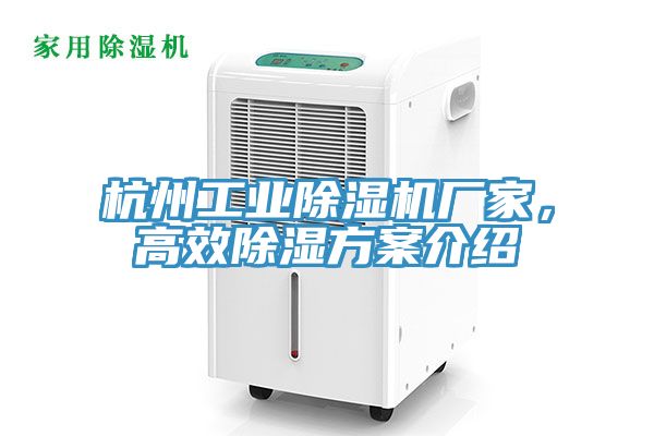 杭州工業(yè)除濕機(jī)廠家，高效除濕方案介紹