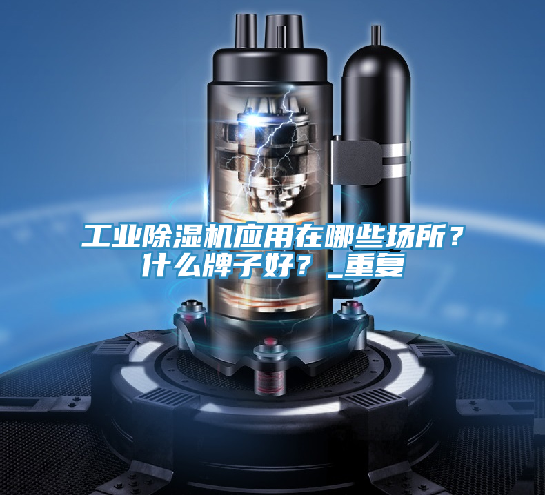 工業(yè)除濕機(jī)應(yīng)用在哪些場所？什么牌子好？_重復(fù)