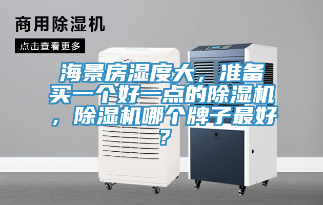 海景房濕度大，準(zhǔn)備買一個(gè)好一點(diǎn)的除濕機(jī)，除濕機(jī)哪個(gè)牌子最好？