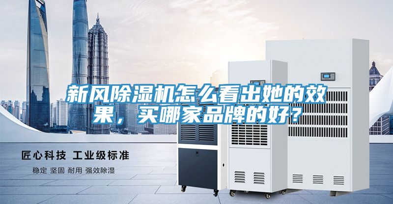 新風(fēng)除濕機怎么看出她的效果，買哪家品牌的好？