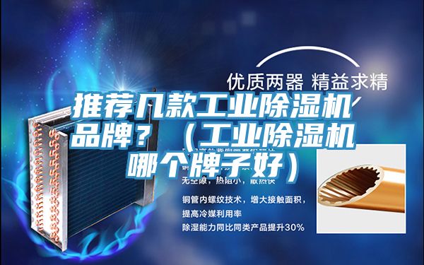 推薦幾款工業(yè)除濕機(jī)品牌？（工業(yè)除濕機(jī)哪個(gè)牌子好）