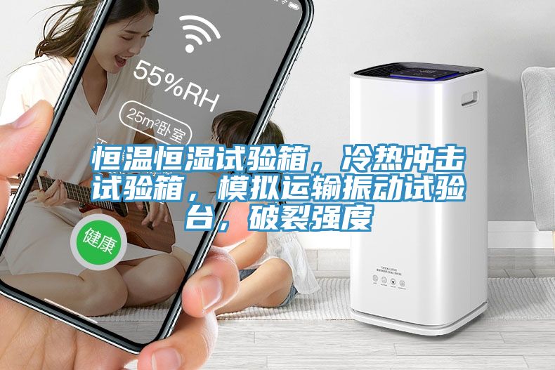 恒溫恒濕試驗箱，冷熱沖擊試驗箱，模擬運輸振動試驗臺，破裂強度