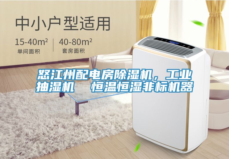 怒江州配電房除濕機(jī)，工業(yè)抽濕機(jī)  恒溫恒濕非標(biāo)機(jī)器